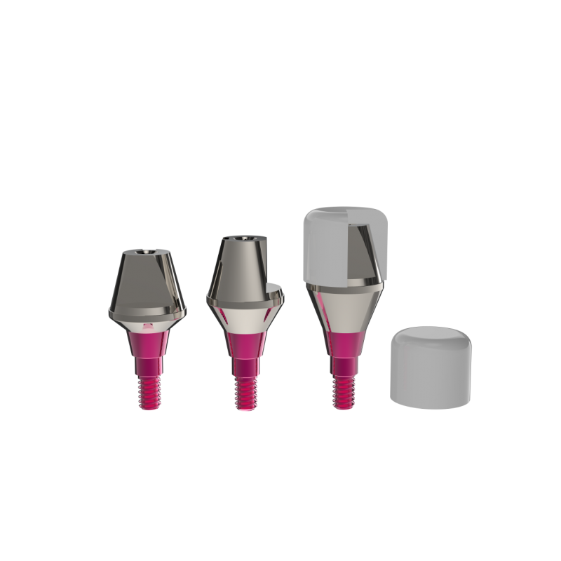 SOLID ABUTMENT