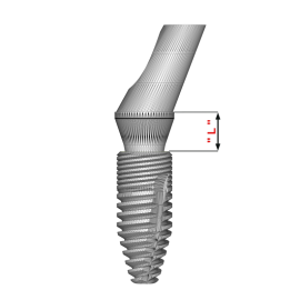 ANGLED ABUTMENT