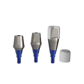 SOLID ABUTMENT