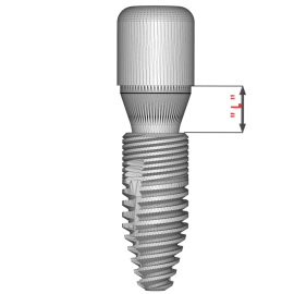 SOLID ABUTMENT