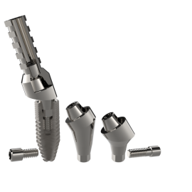 ANGLED MULTI ABUTMENT